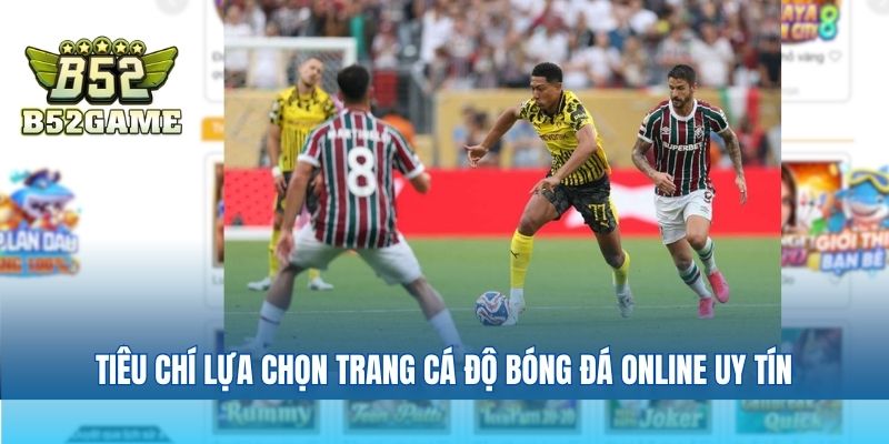 Tiêu chí lựa chọn trang cá độ bóng đá online uy tín